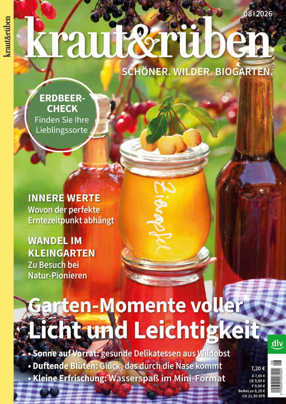kraut&rüben 08/2026 vom Freitag, 17.07.2026
