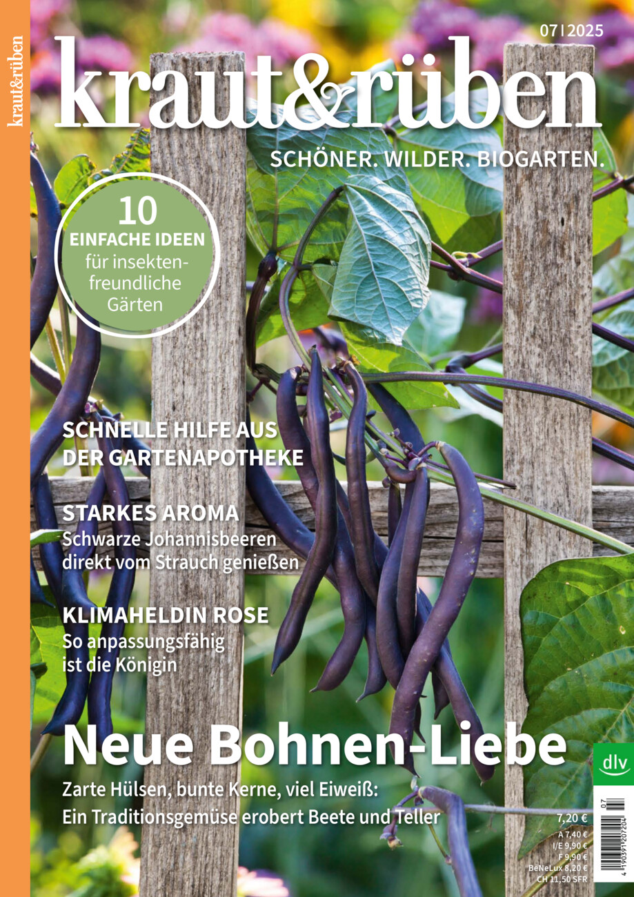 kraut&rüben 07/2025 vom Freitag, 20.06.2025