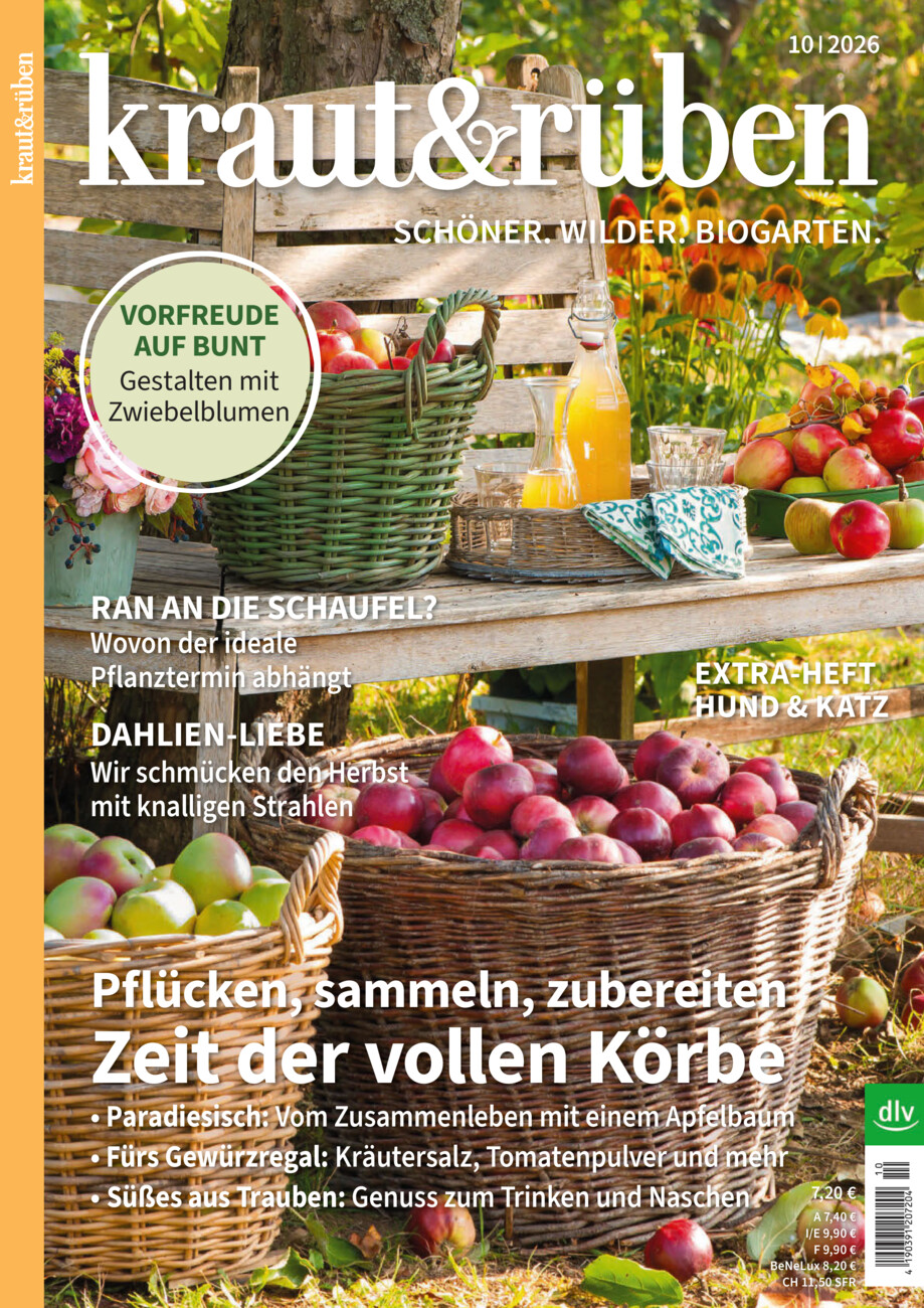 kraut&rüben 10/2026 vom Donnerstag, 17.09.2026