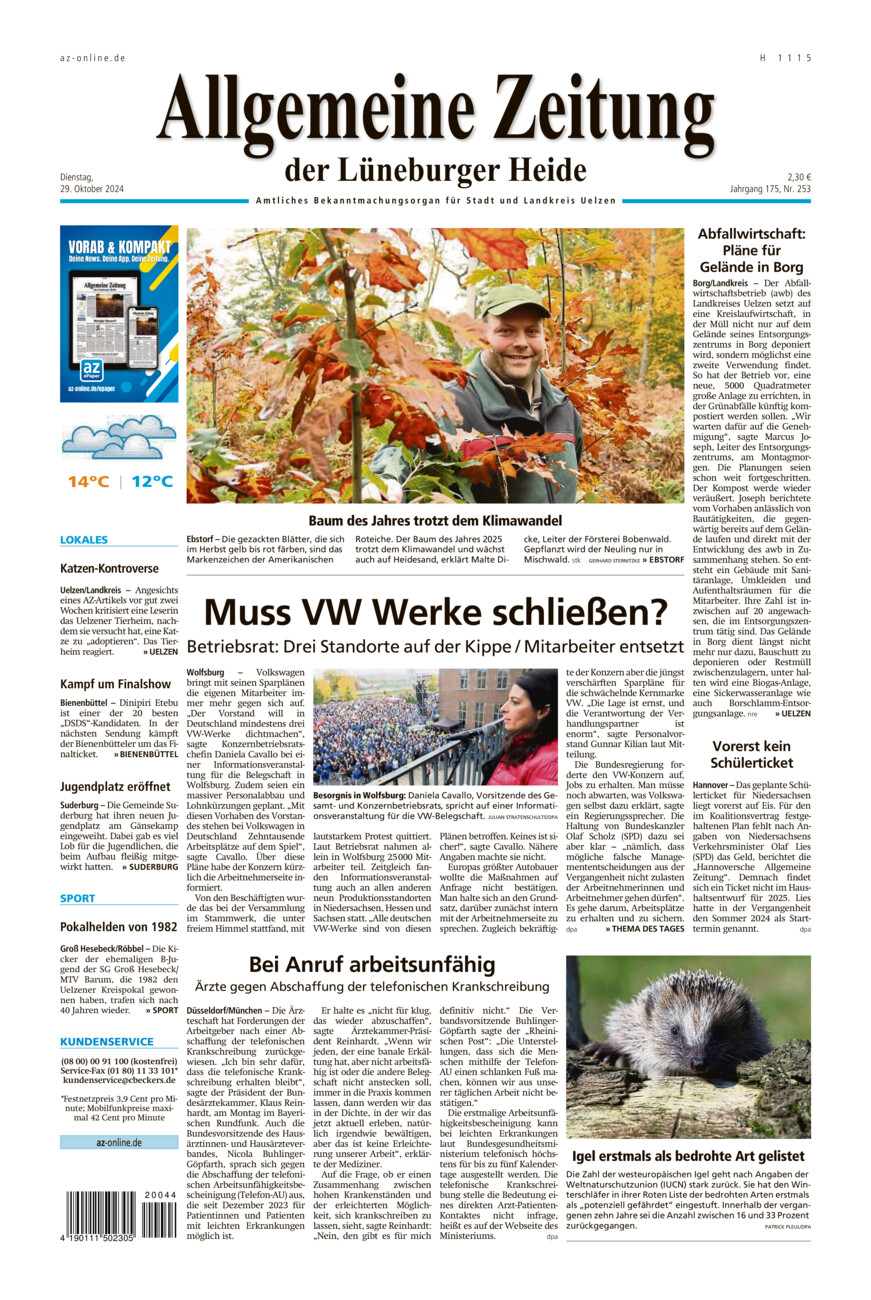 Allgemeine Zeitung vom Dienstag, 29.10.2024